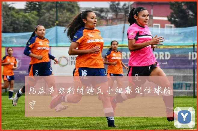 厄瓜多尔科特迪瓦小组赛定位球防守
