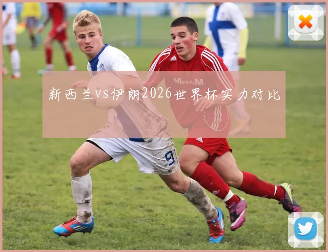 新西兰vs伊朗2026世界杯实力对比
