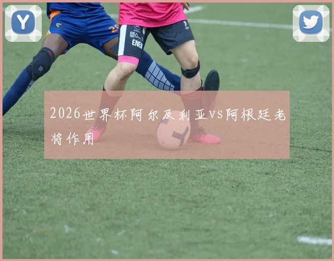 2026世界杯阿尔及利亚vs阿根廷老将作用