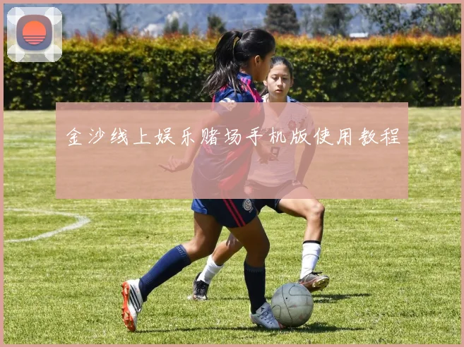 金沙线上娱乐赌场手机版使用教程