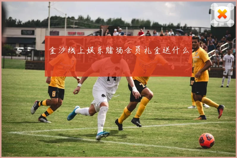 金沙线上娱乐赌场会员礼金送什么