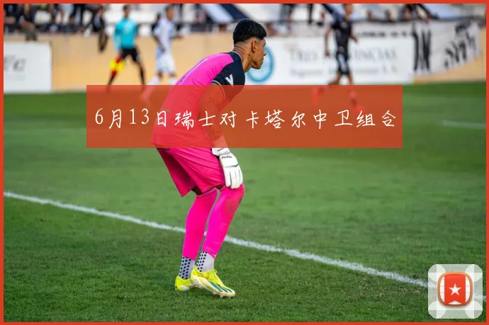 6月13日瑞士对卡塔尔中卫组合
